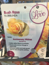 Load image into Gallery viewer, Celebration Roses
