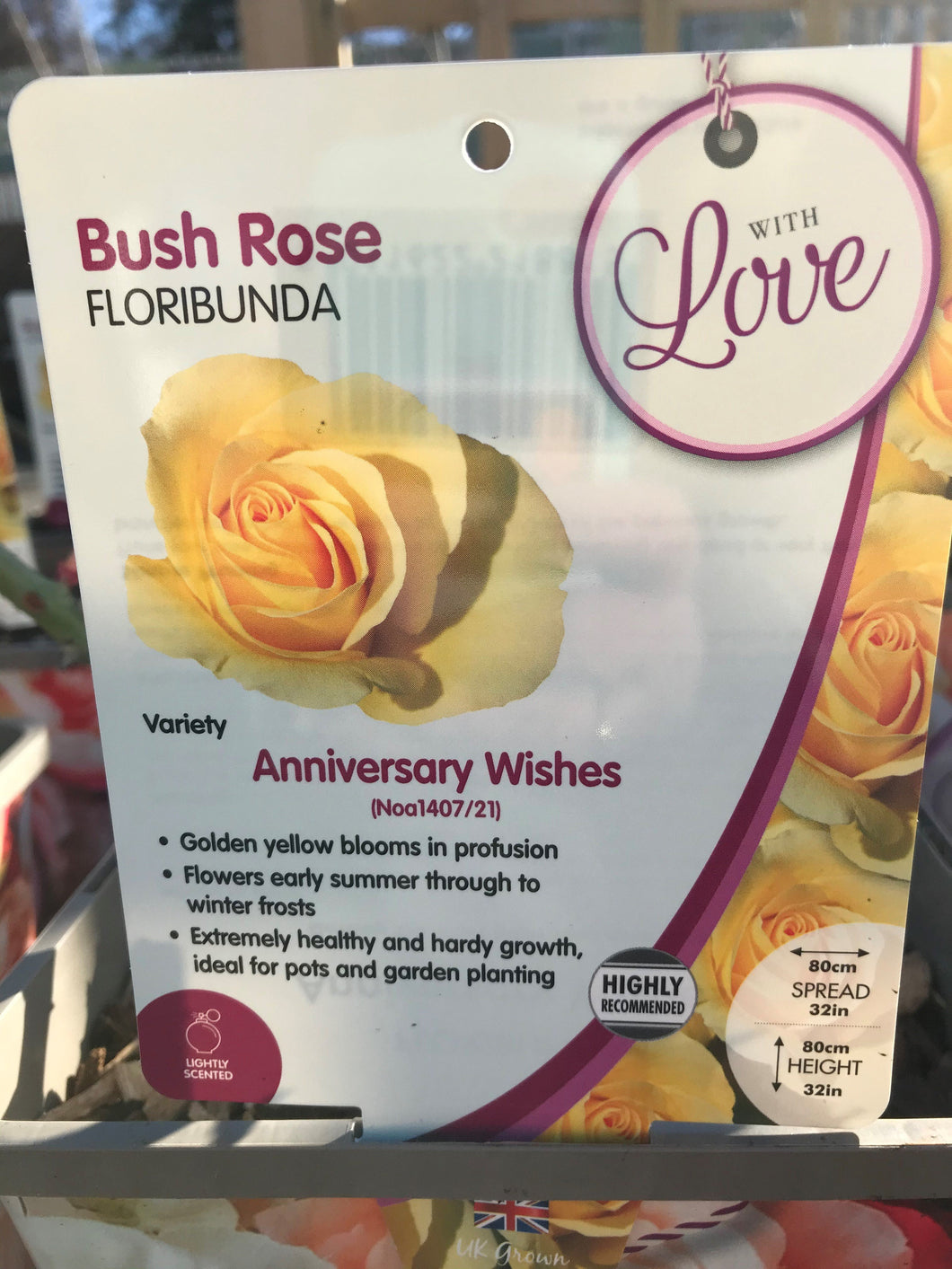 Celebration Roses