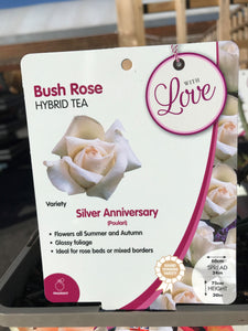 Celebration Roses