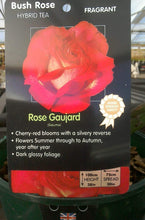 Load image into Gallery viewer, Bush Roses - Reds, 3L
