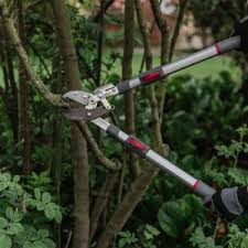 Telescopic ratchet Geared loppers