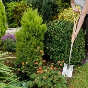 Stainless steel border spade